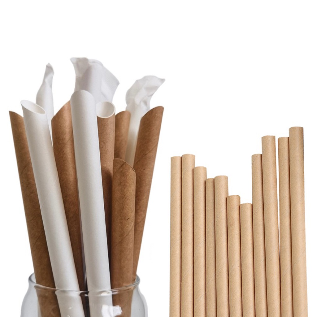 [100pcs] Individually Wrapped White & Kraft Paper Straw - Regular ...