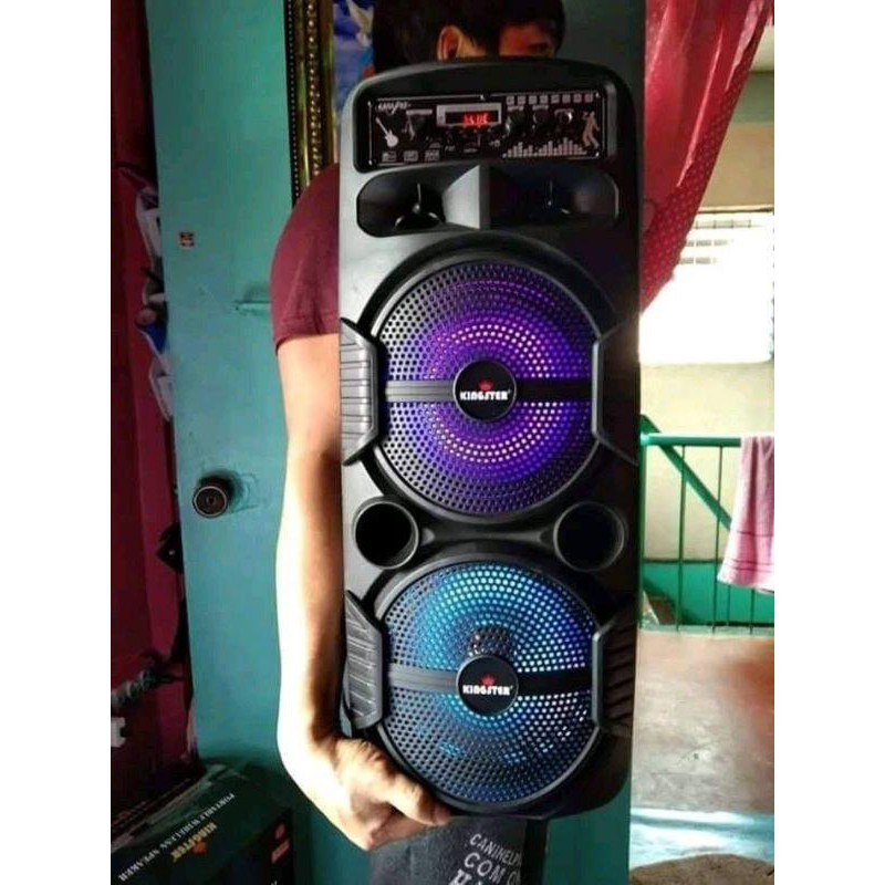 Big speaker hot sale with microphone