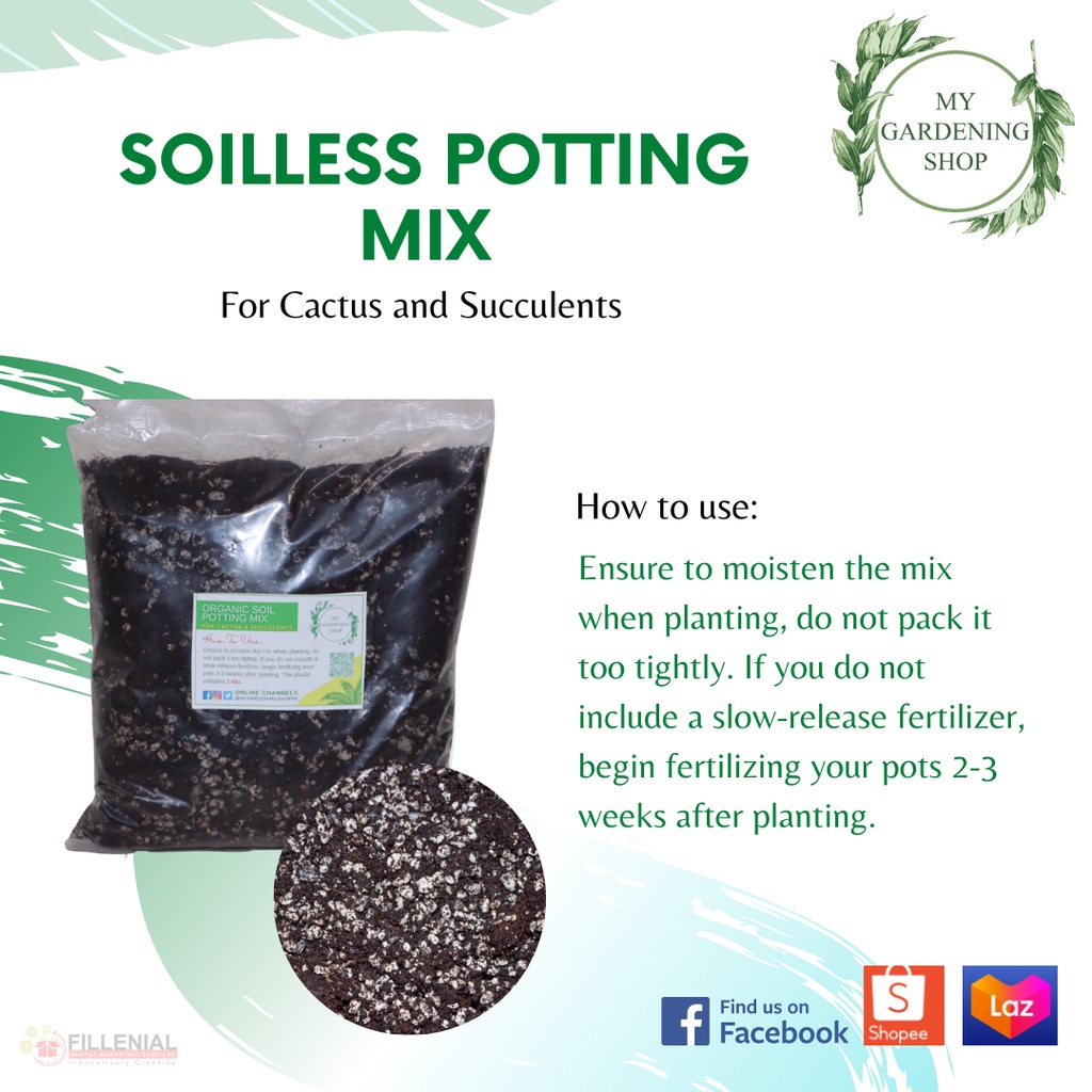 SOILLESS POTTING MIX FOR CACTUS AND SUCCULENTS (2LITERS-1KG) | Shopee ...