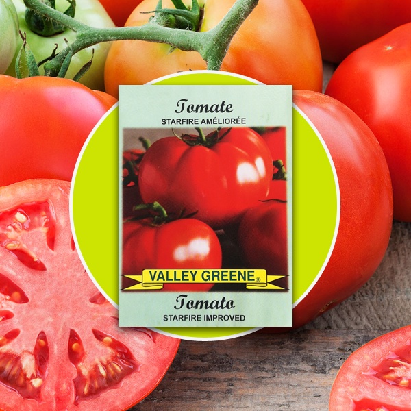 Tomato Seeds - Starfire Tomato Seeds - Vegetable Seeds | Shopee Philippines