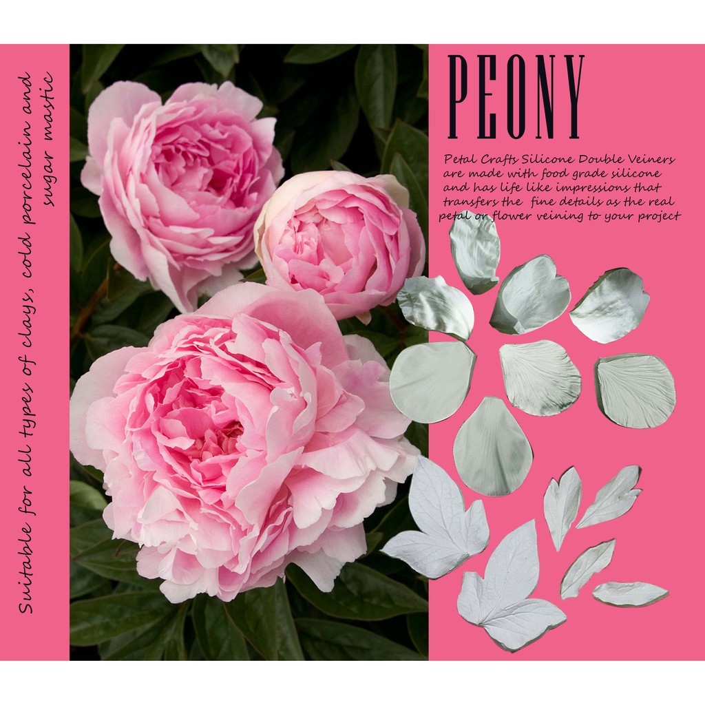 PEONY FULLSET - 2-sided clay flower plastic pattern mold | Shopee ...