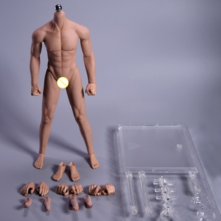 1/12 Scale Male Muscular Body Young Teenager Action Figure 6 Flexible Doll  Toy