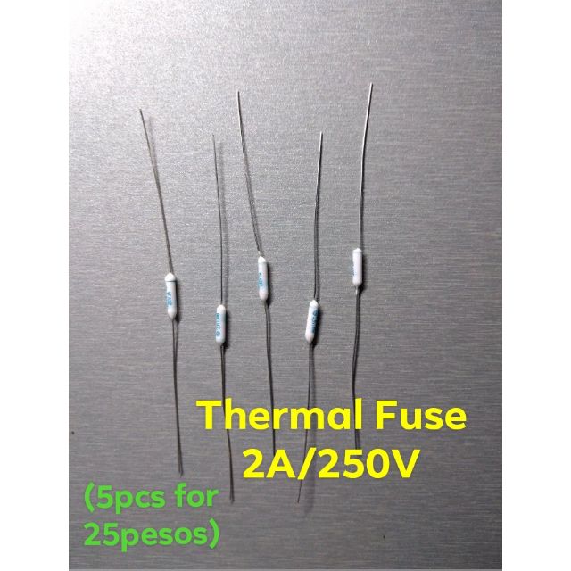 ( 10 PCS ) 2AMP LONG ELECTRIC FAN FUSE 250V Shopee Philippines