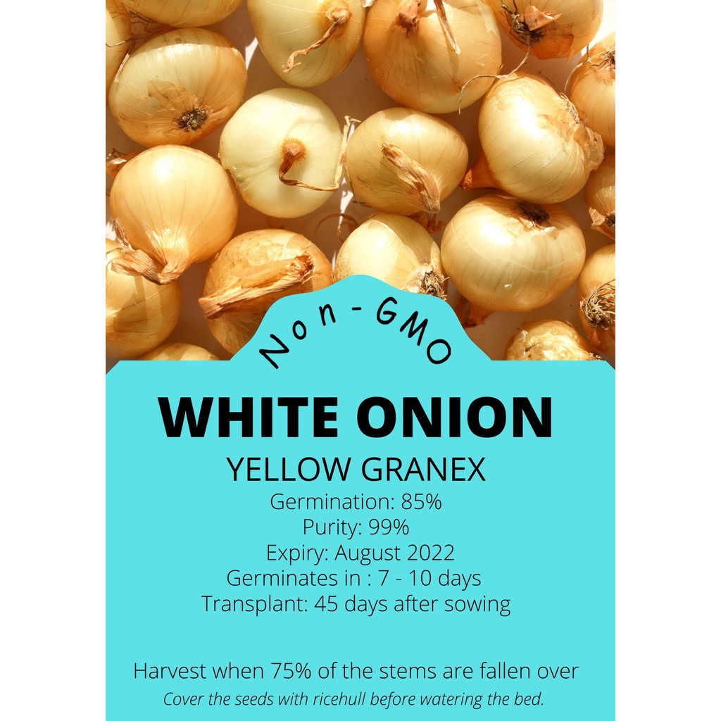White Onion Seeds (High Germination) Shopee Philippines