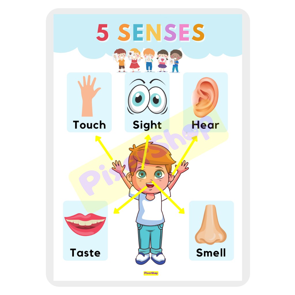 Lowest Price! High Quality A4 Laminated Educational Charts For Kids 