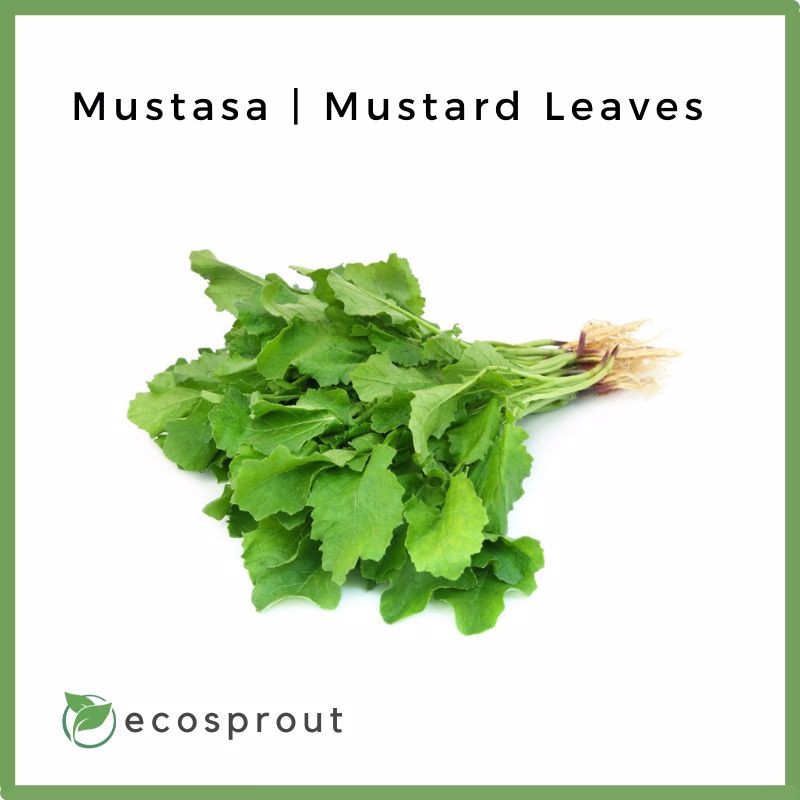 Fresh Mustasa | Fresh Mustard Leaves | 100g | Fresh Vegetables | Fresh ...