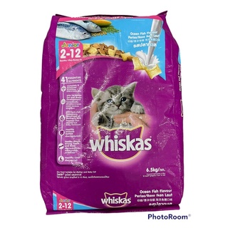whiskas cat food junior