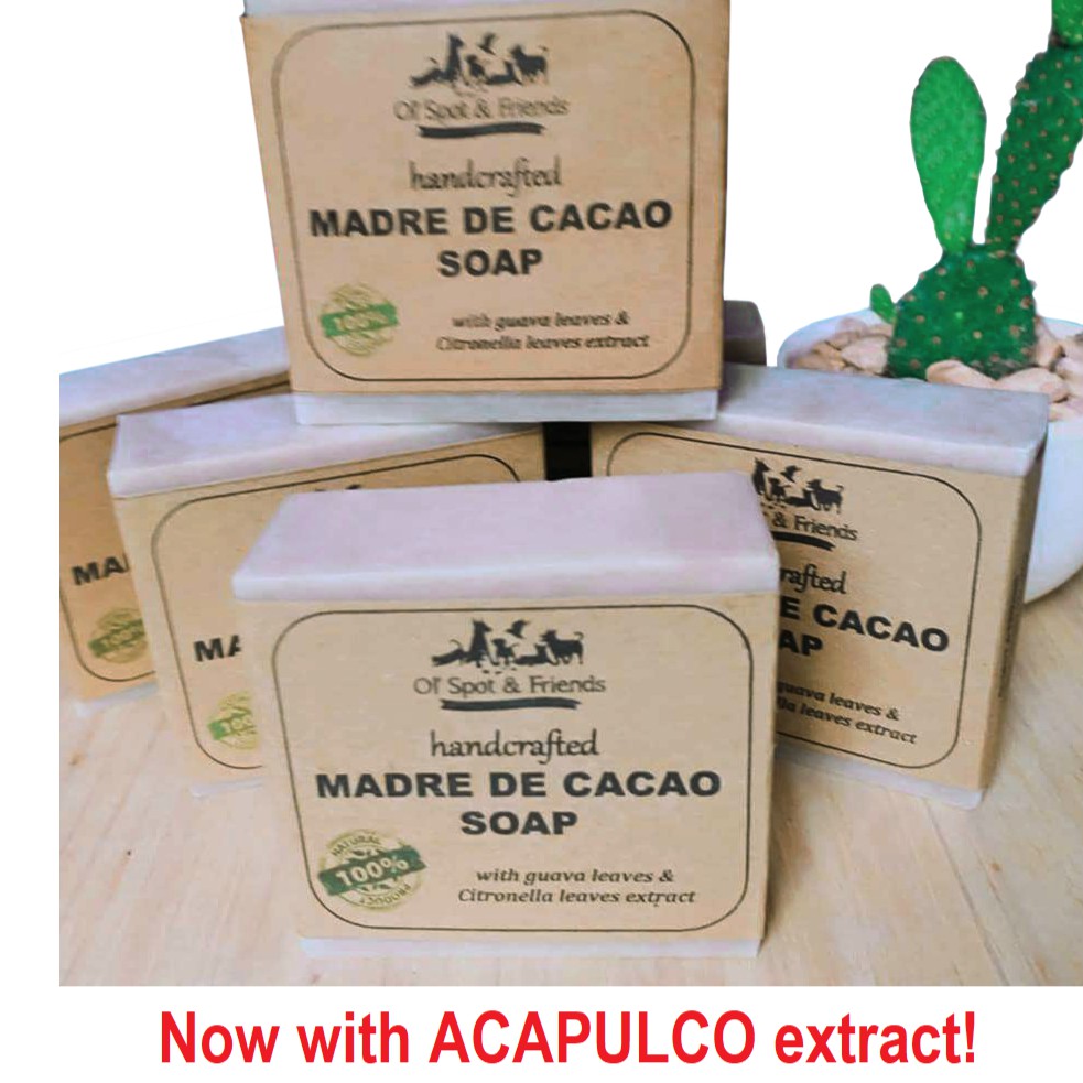 Madre De Cacao Soap (with guava leaves/citronella extract) Shopee