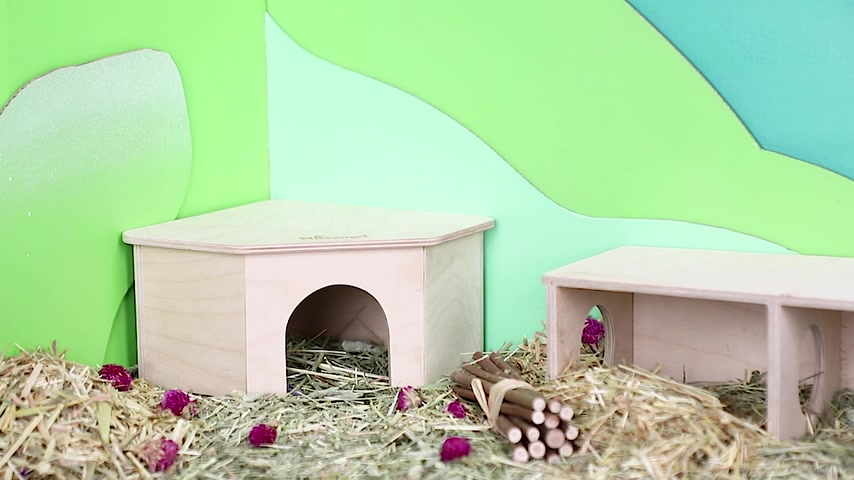 Niteangel Corner Triangle Wooden Hamster Hideout (2 Sizes) | Shopee ...