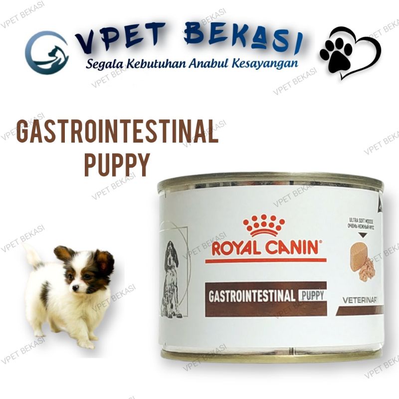 Royal Canin Gastro Intestinal Puppy 195gr Diarrhea Puppies Food