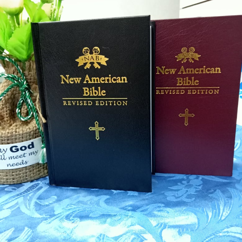 PCBS NEW AMERICAN BIBLE SIZE BIBLE/WITH THUMB INDEX