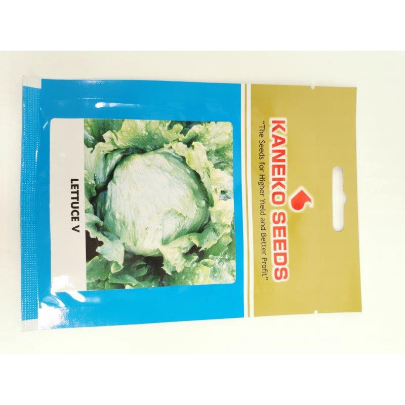 LETTUCE V ICEBERG LETTUCE SEEDS BY KANEKO Shopee Philippines