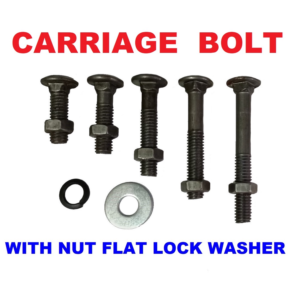 CARRIAGE BOLT WITH NUT & WASHERS Shopee Philippines