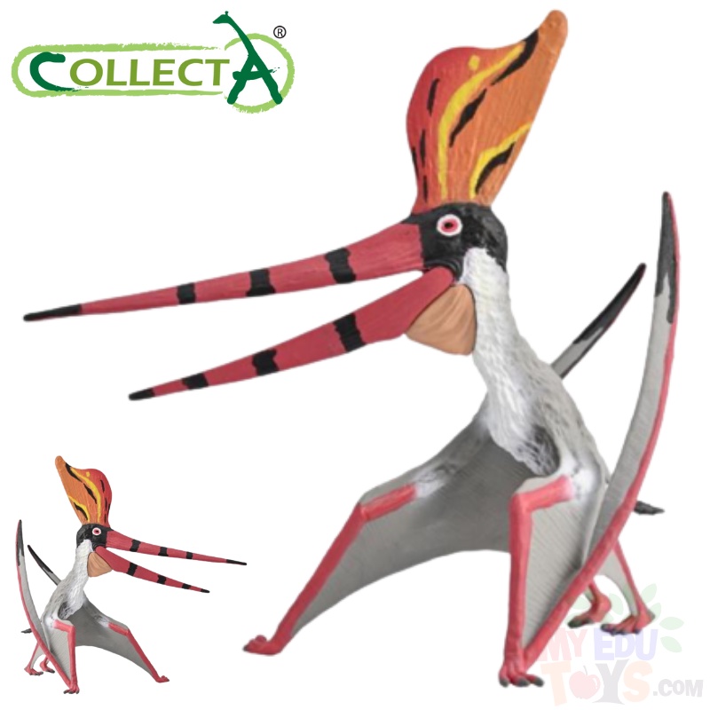 Pteranodon Sternbergi With Movable Jaw Scale Collecta