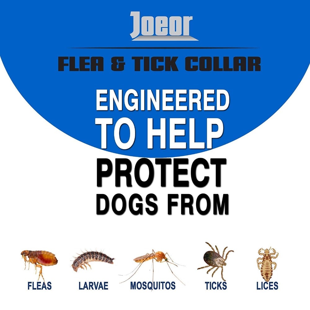 Flea and Tick Collar for Dogs Cats Up To 8 Month Flea Tick Dog Collar Anti mosquito and Insect Repellent Pet Collars Shopee Philippines