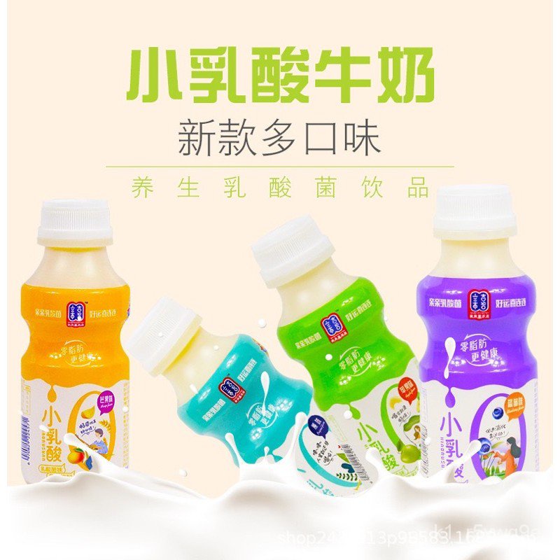 Gastric Power Lactobacillus Beverage Milk Yogurt Probiotics Drink