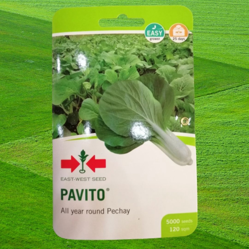 ⊙East West Eastwest Seeds Smooth Green Okkra And Pavito Pechay Pouch ...