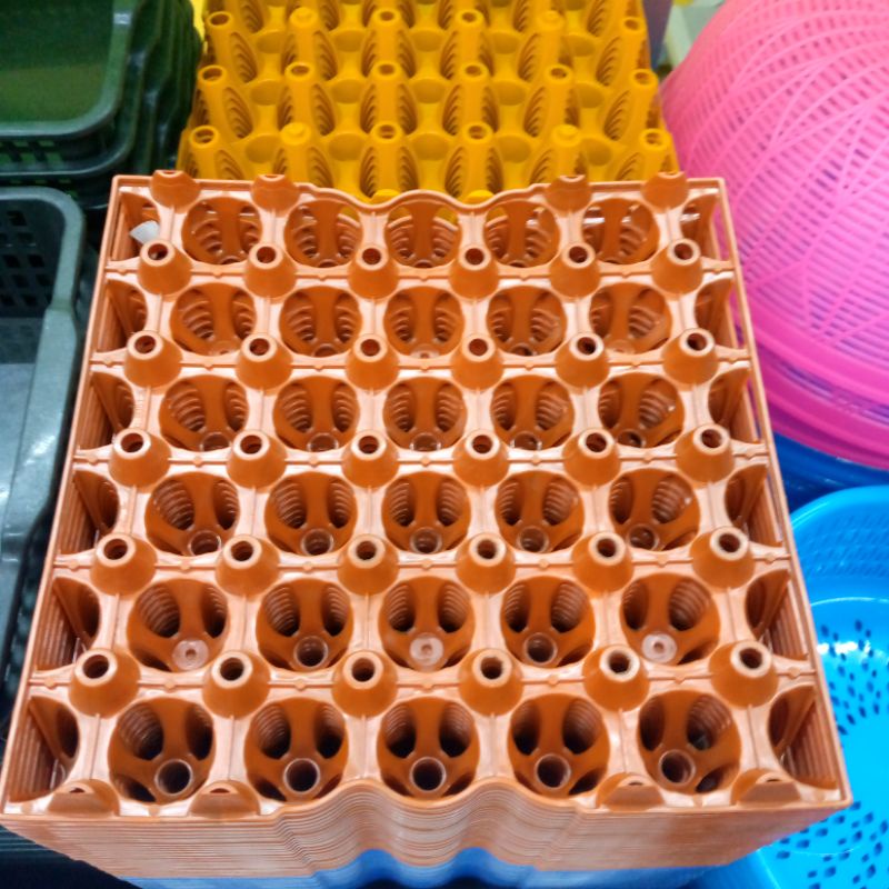 Plastic egg tray (yellow) | Shopee Philippines