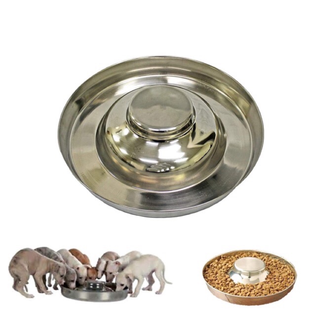 Big Puppy Saucer Bowl Shopee Philippines