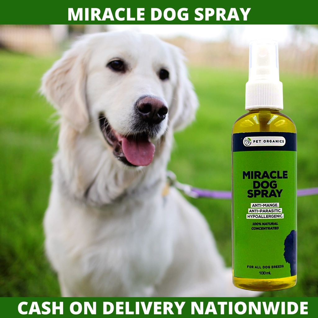 Miracle Dog Spray Best for AntiMange,Anti Parasitic,HypoAllergenic