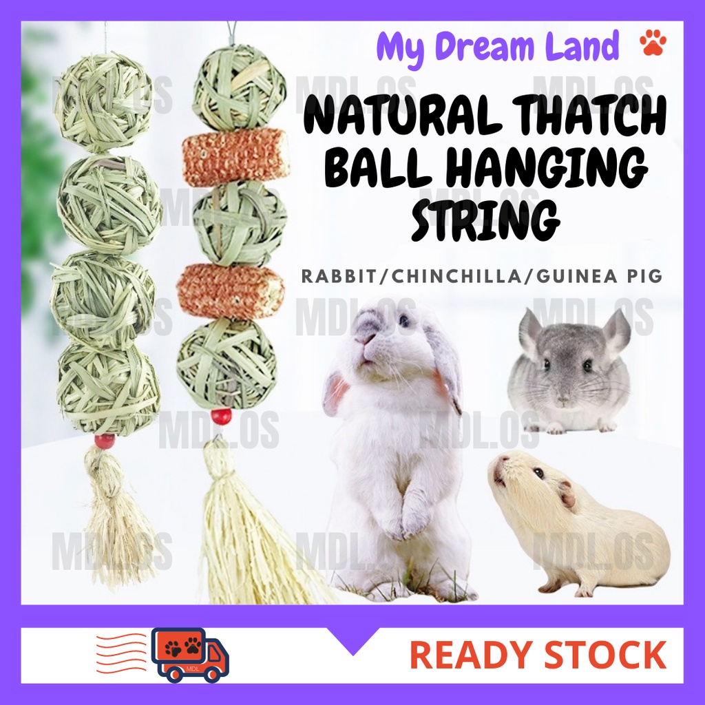 LOCAL DELIVERY-NATURAL THATCH BALL DRIED CORN HANGING STRING MOLAR TOY ...
