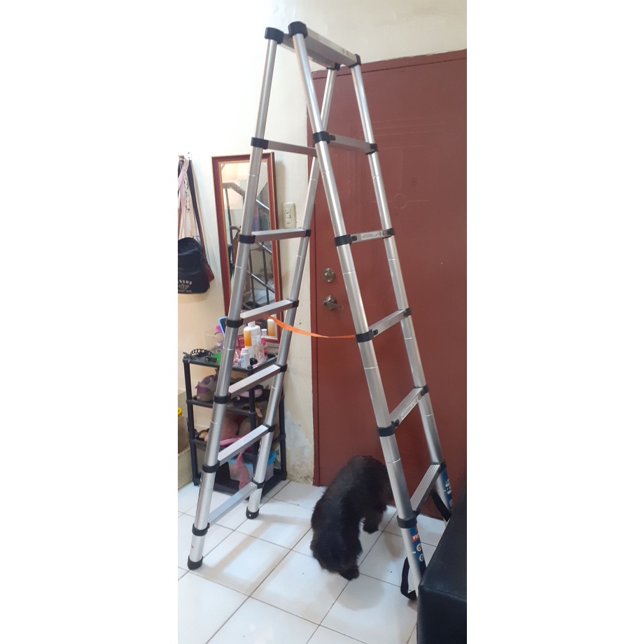 Telescopic Ladder Fujima Japan | Shopee Philippines