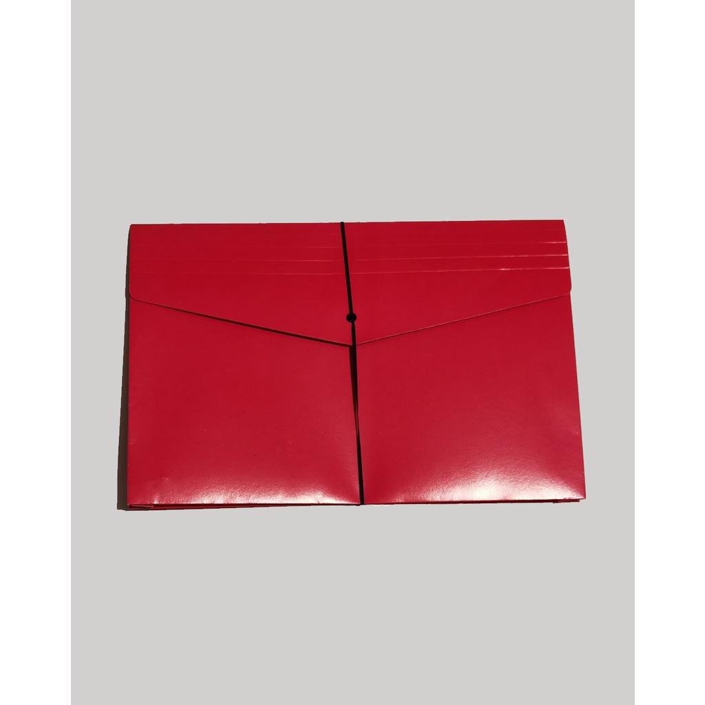 Expanded Envelope Long with Elastic Strap Matte Finish Tomodachi Pack ...