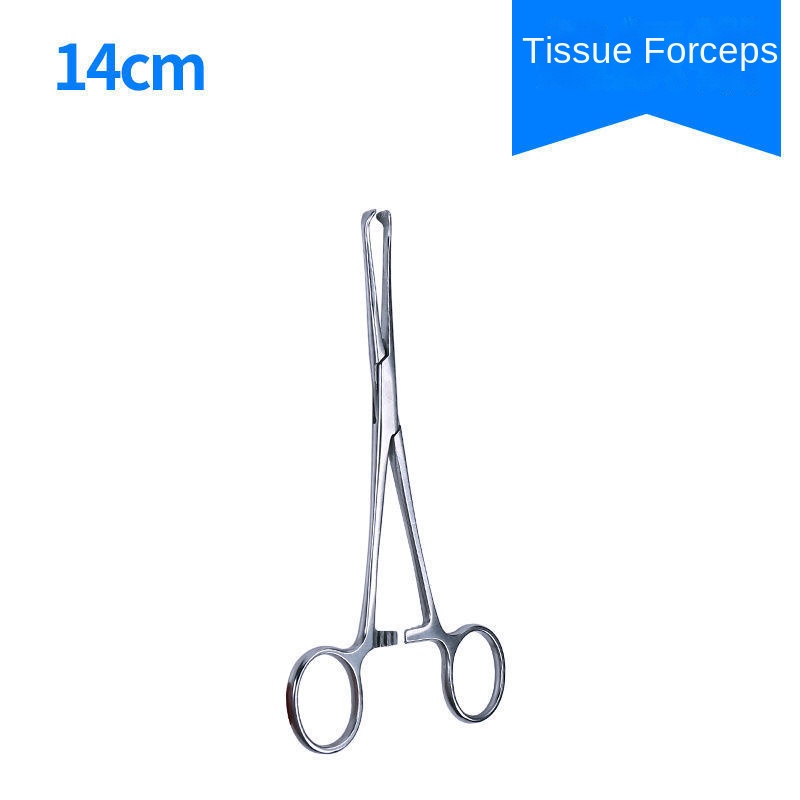 Medical Tissue Forceps Stainless Steel Surgical Gynecological Cervical