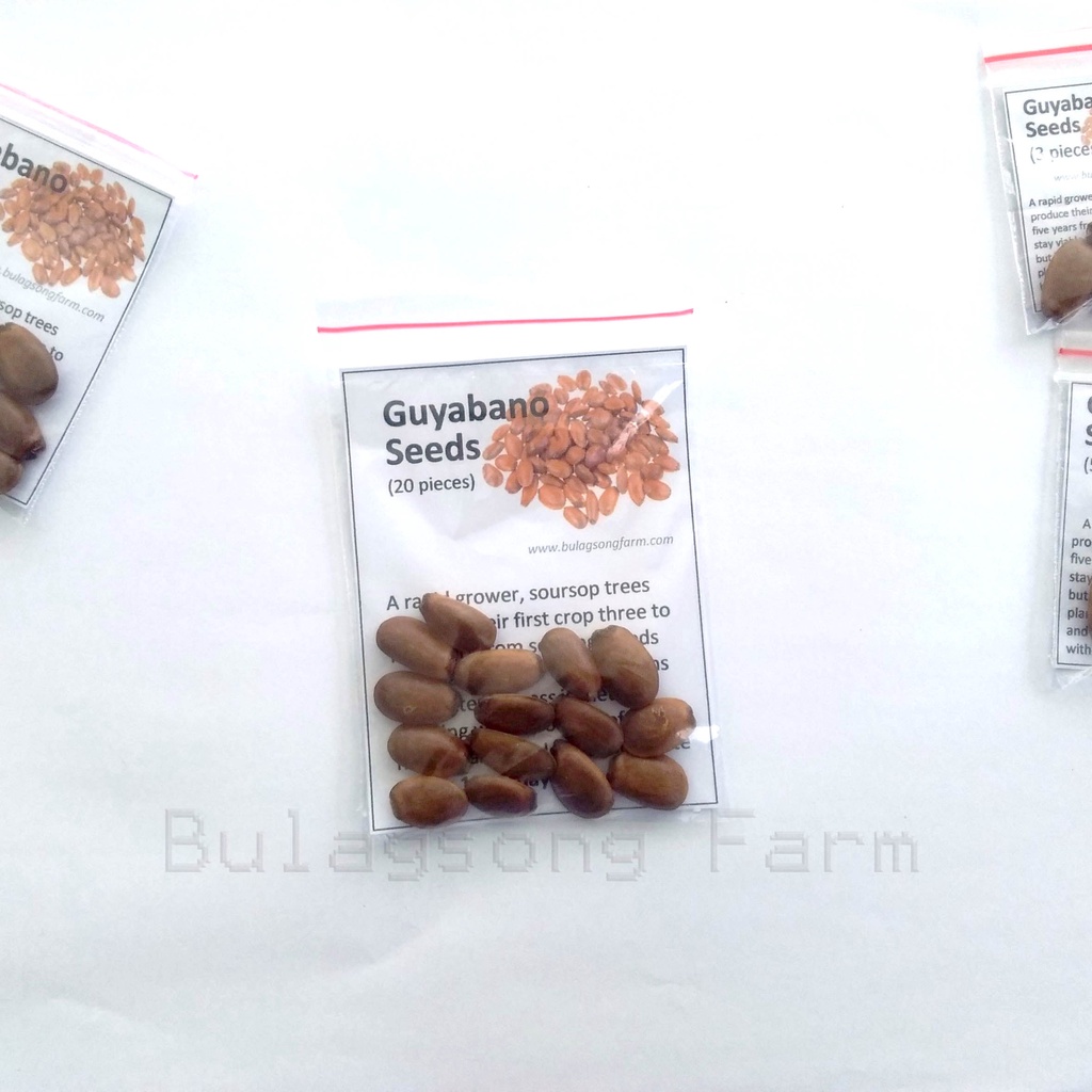 Guyabano Seeds (Soursop Seeds) 3pcs / 5pcs / 10pcs / 20 pcs | Shopee ...