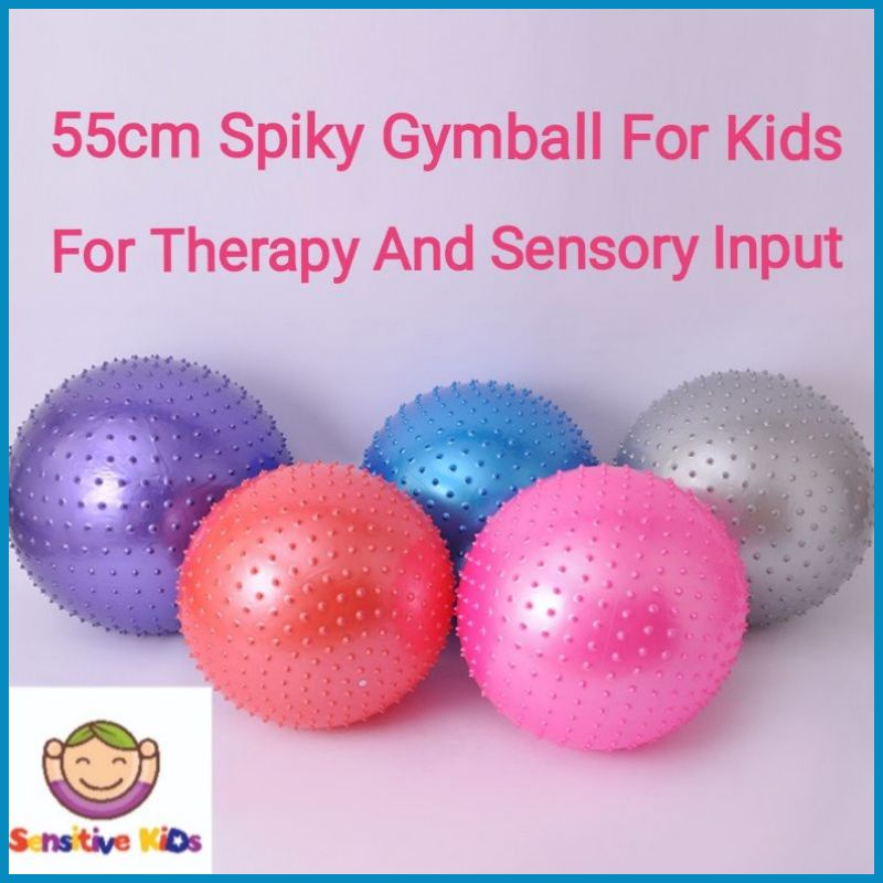 Gym Ball 55cm for kids Yoga Ball 55cm for kids Anti Burst For Wheel Barrow Exercise Autism ADHD Shopee Philippines