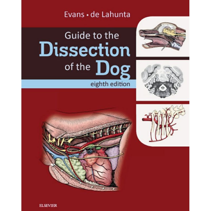 Guide to the Dissection of the Dog Vet Anatomy | Shopee Philippines