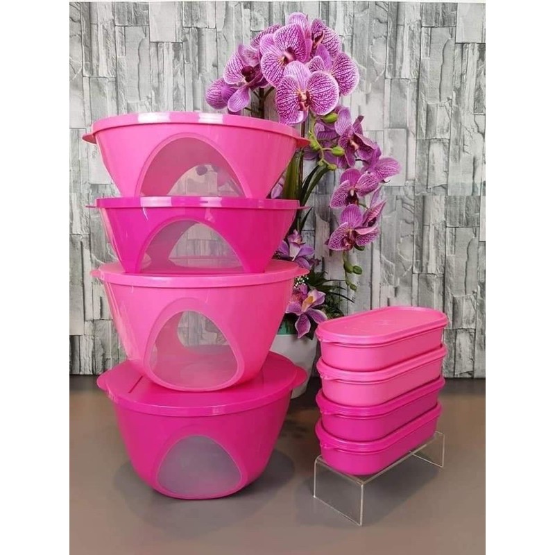 Tupperware Outdoor Dining bowl (2.5L & 4.3L) | Shopee Philippines
