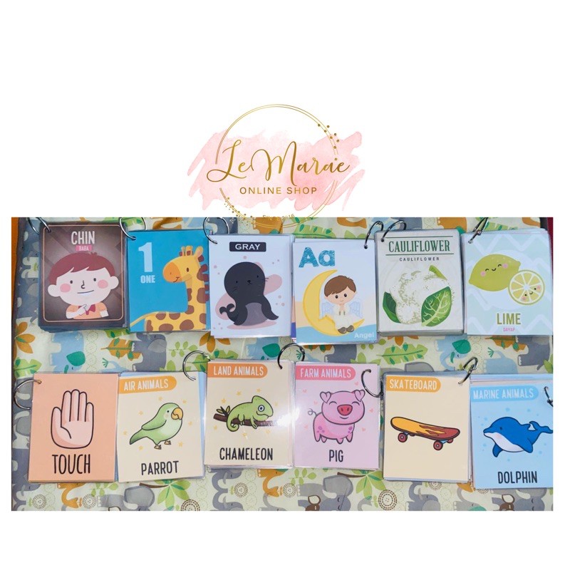 BEGINNER SETS FLASHCARDS Laminated Educational Flashcards for Kids ...