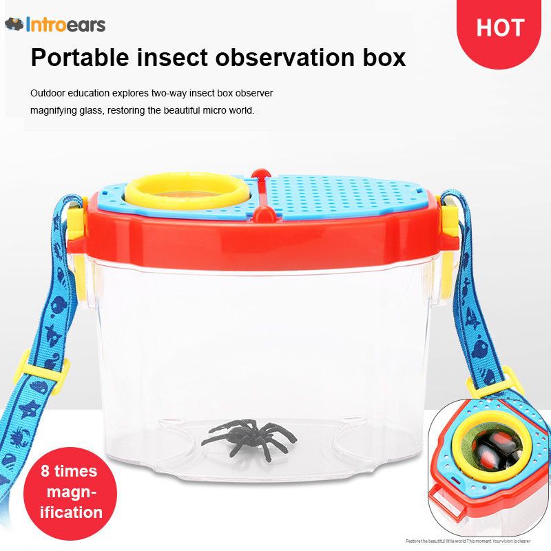 Puzzle Insect Collection Box Observation Insect Outdoor Classroom ...