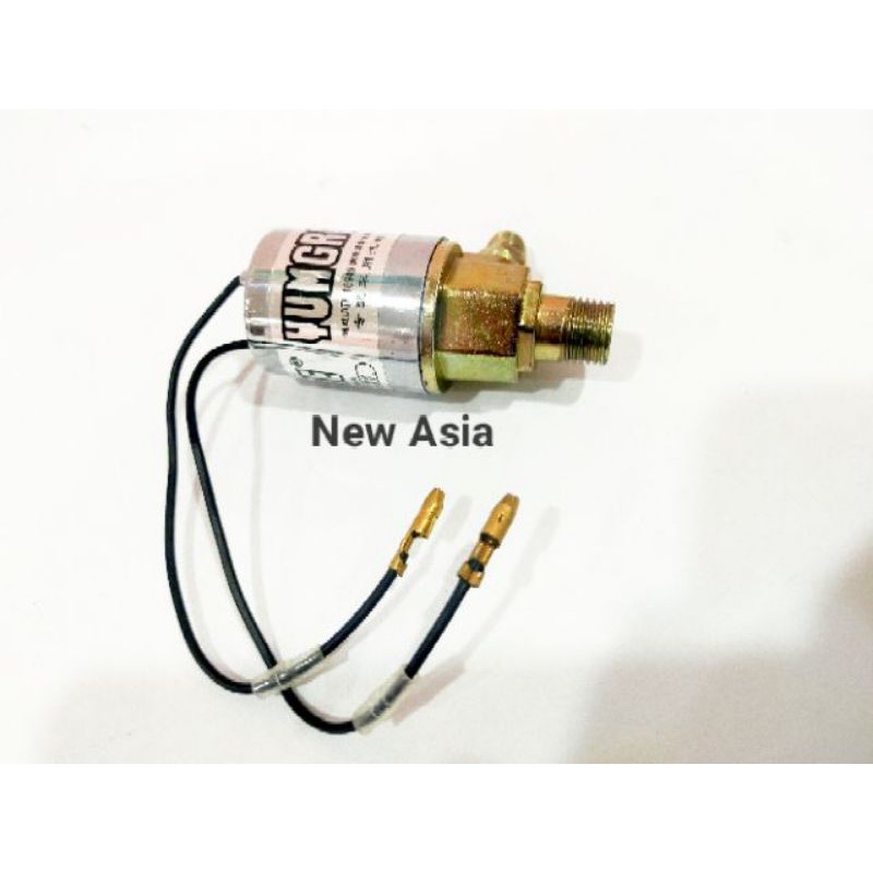 Air Horn Solenoid/ Air Horn Switch 12V/24V Truck Lori Air Horn Electric