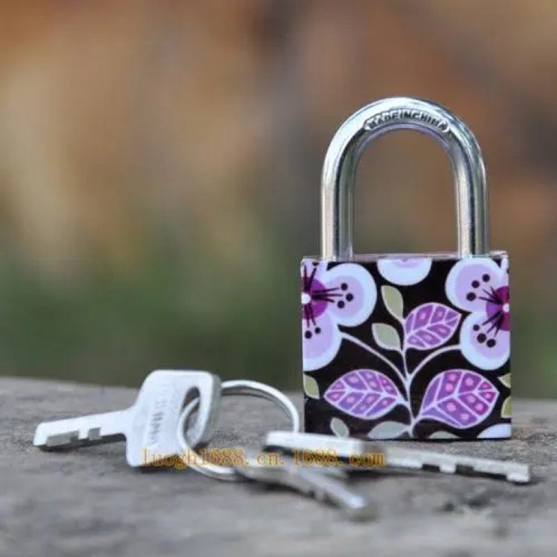 Heavy-duty Security Padlock (flowers)/ Stainless Padlock(podlock), lock ...