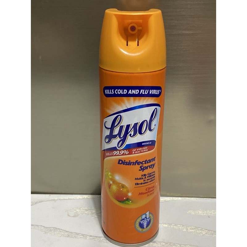 Lysol Disinfectant Spray Surface Disinfectant 510g 340g 170g Shopee Philippines 4945