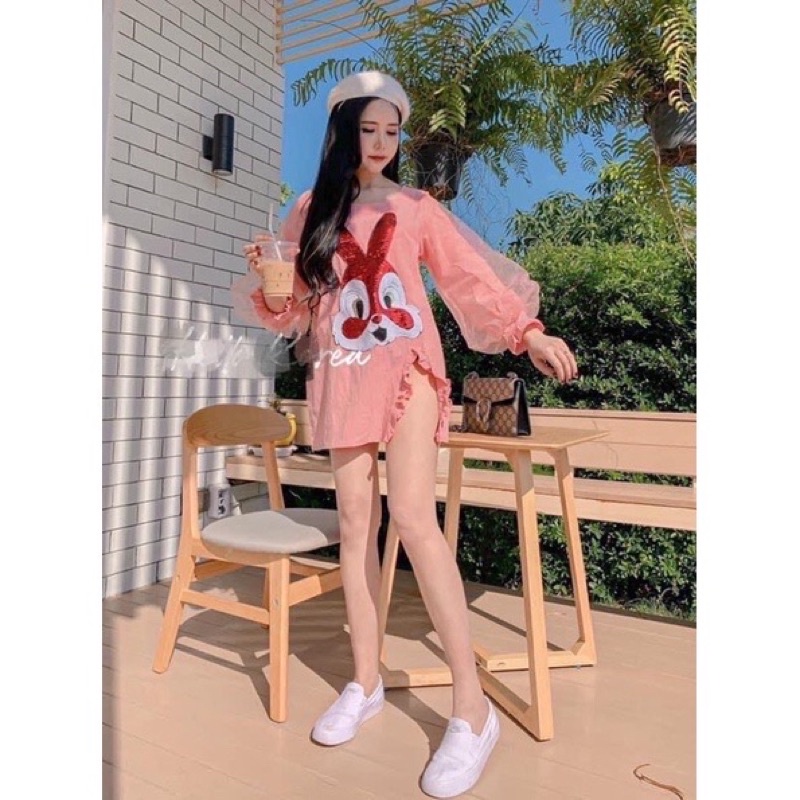 Cute Rabbit Dress Decorated With Glass Cloth Sleeves. Slit The Front Of ...
