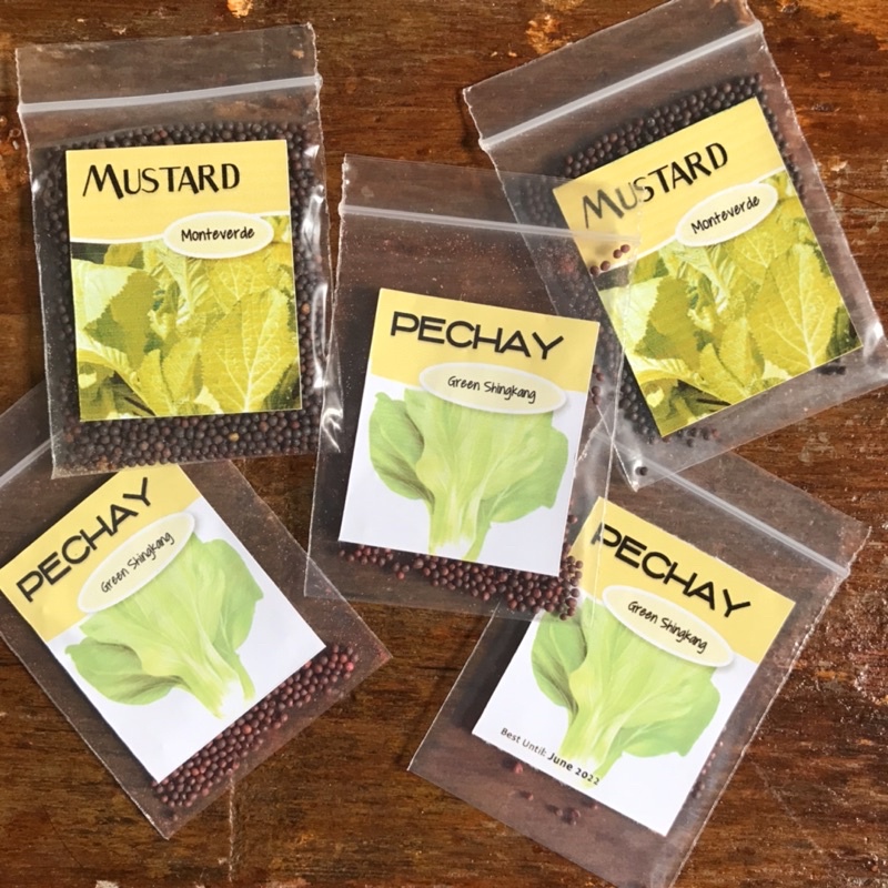 GREEN LEAFY seeds (Mustard, Pechay, Kinchay, and Spinach) | Shopee ...