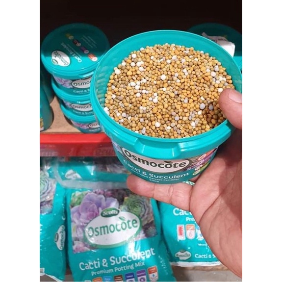 Scotts Osmocote Cacti and Succulent Controlled Release 500g Shopee