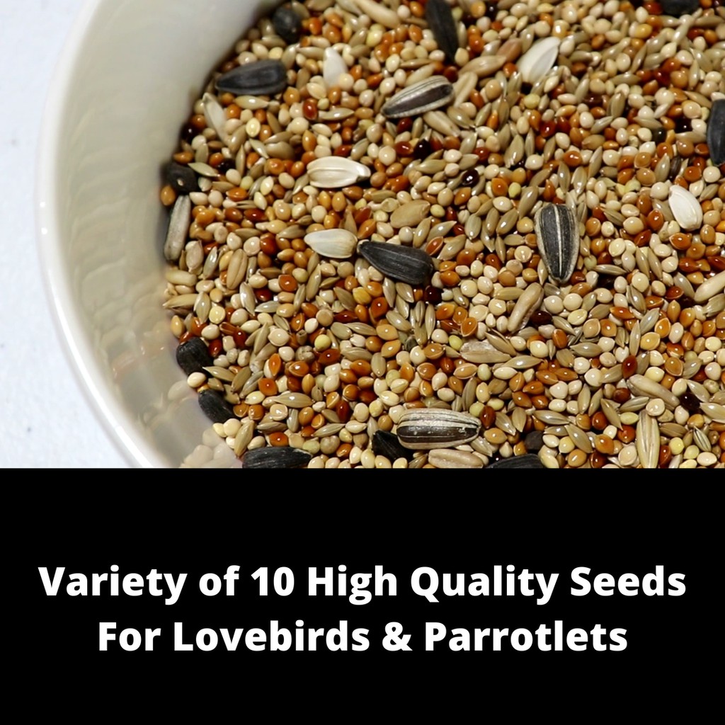 Best seed mix for lovebirds best sale