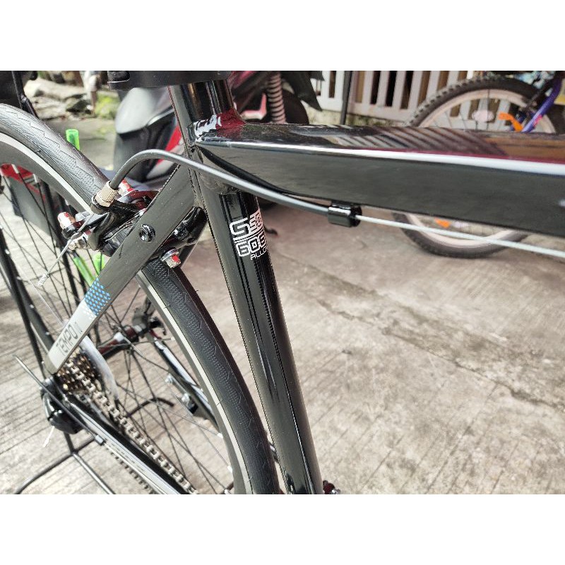 Trinx tempo store 1.0 frame size