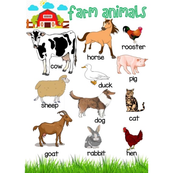 Animals Educational Laminated Chart A4 Size | Shopee Philippines