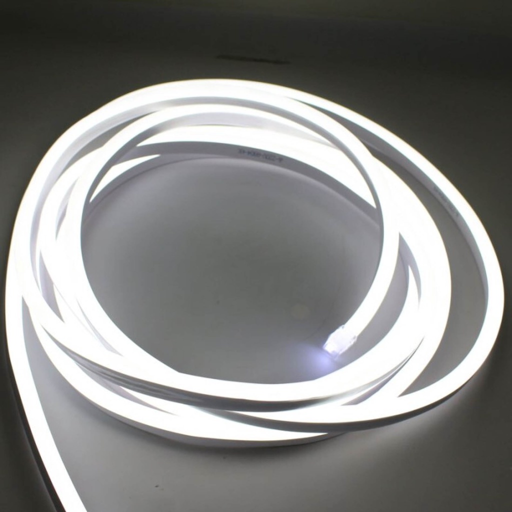 20M-100M 220V Led Strip Neon Light | Shopee Philippines