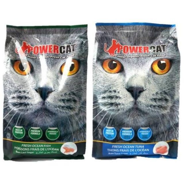 Power hot sale cat price