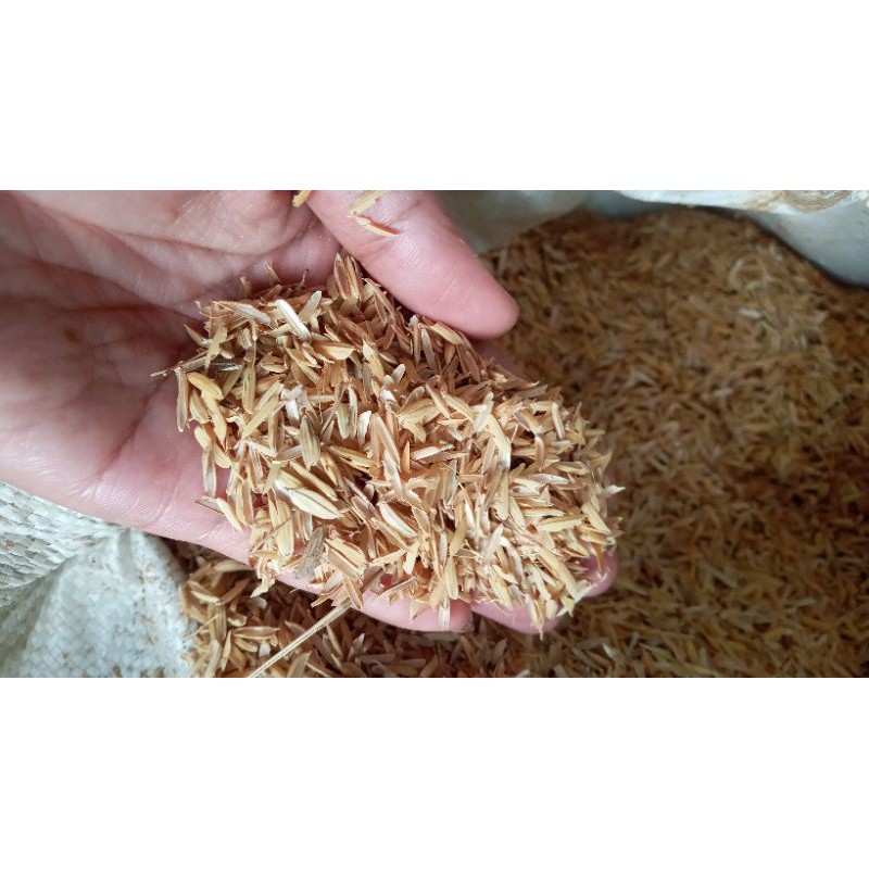 Rice Hulls/ ipa for Plants 200grams | Shopee Philippines
