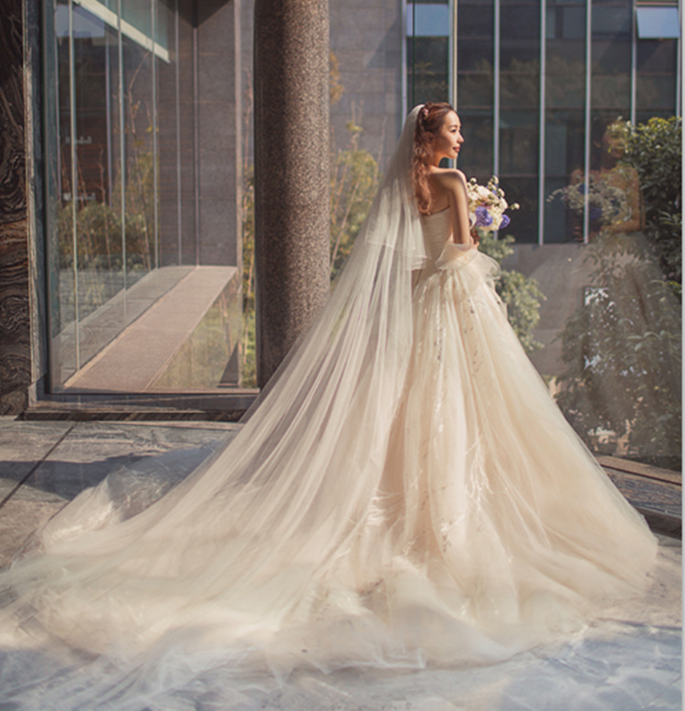 Champagne Color Contracted 3 Meters Soft Veil Brigade to Take Wedding  Photos of the Bride Super Long Tuxedo Wedding Dress Accessories Hs134