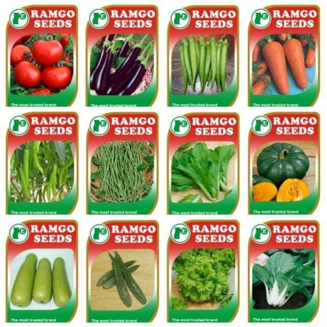 Vegetables Gardening Seeds Different kinds of Seeds Shopee Philippines