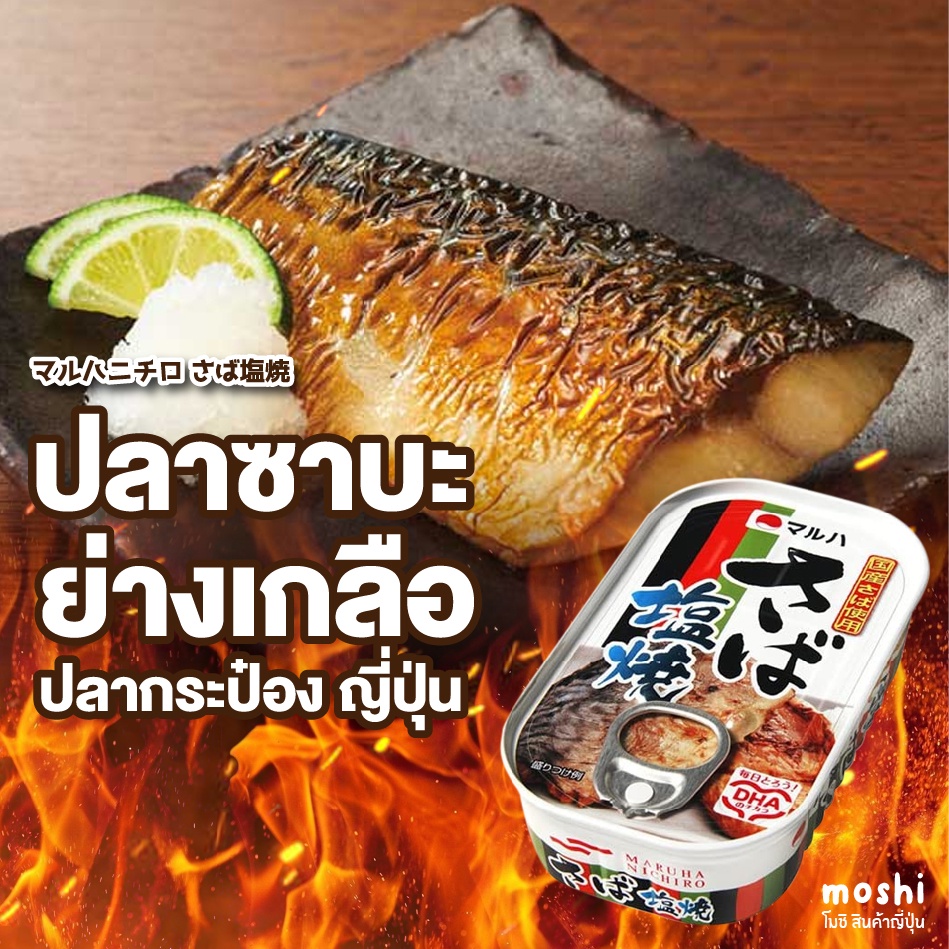 Japanese Canned Fish Grilled Saba Salted Maruha Nichiro Sanma 100g