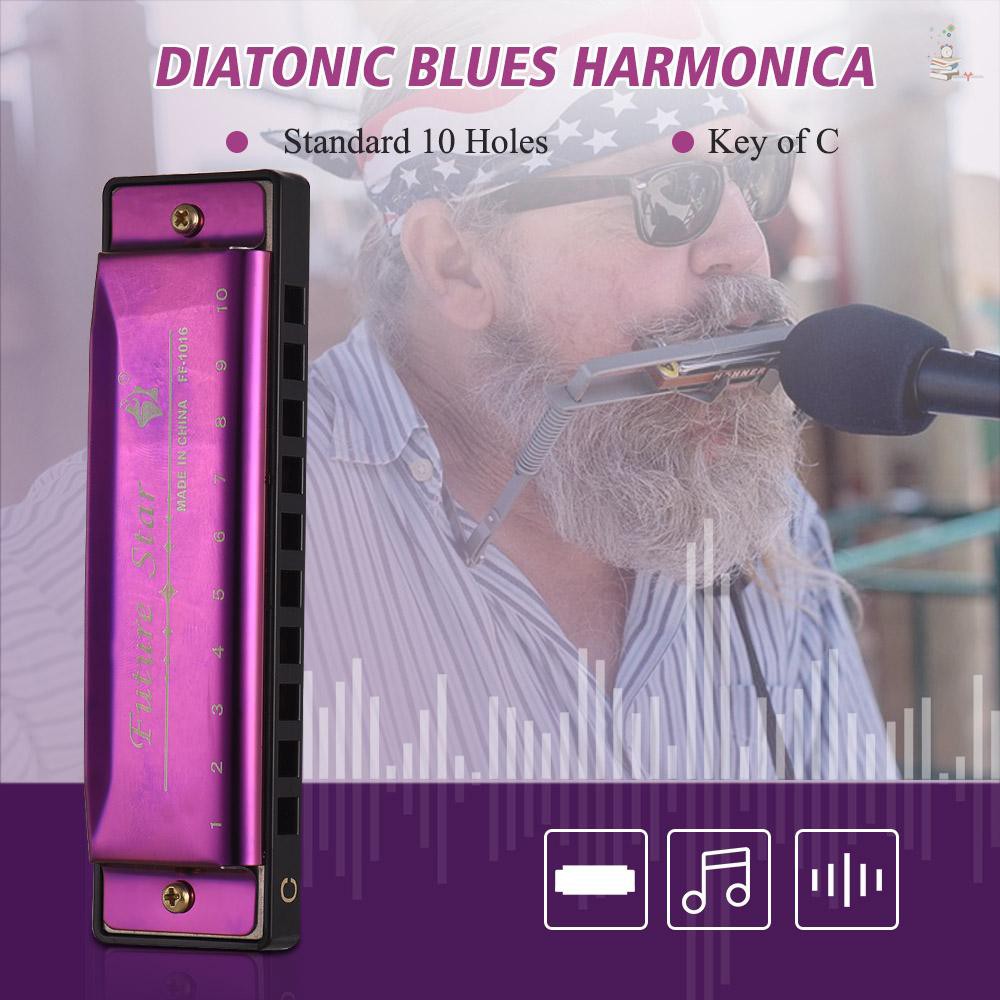 NICE* Key of C Diatonic Harmonica Mouthorgan with ABS Reeds Mirror ...